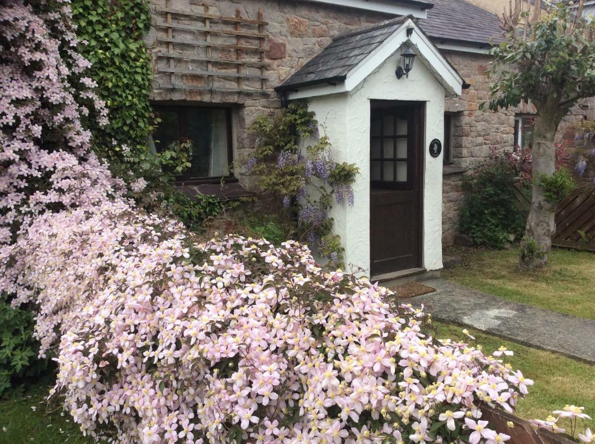Sycamore Cottage คอนวี ภายนอก รูปภาพ