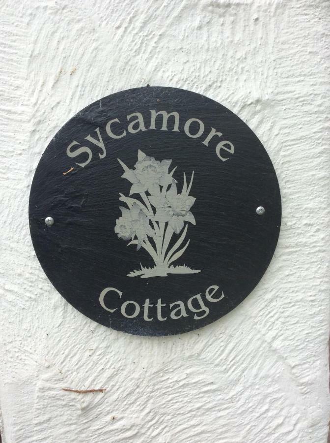 Sycamore Cottage คอนวี ภายนอก รูปภาพ
