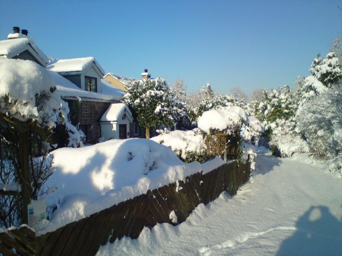 Sycamore Cottage คอนวี ภายนอก รูปภาพ